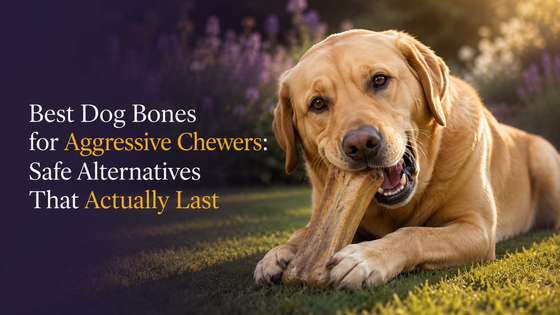 Best Dog Bones for Aggressive Chewers: Safe Alternatives That Actually Last