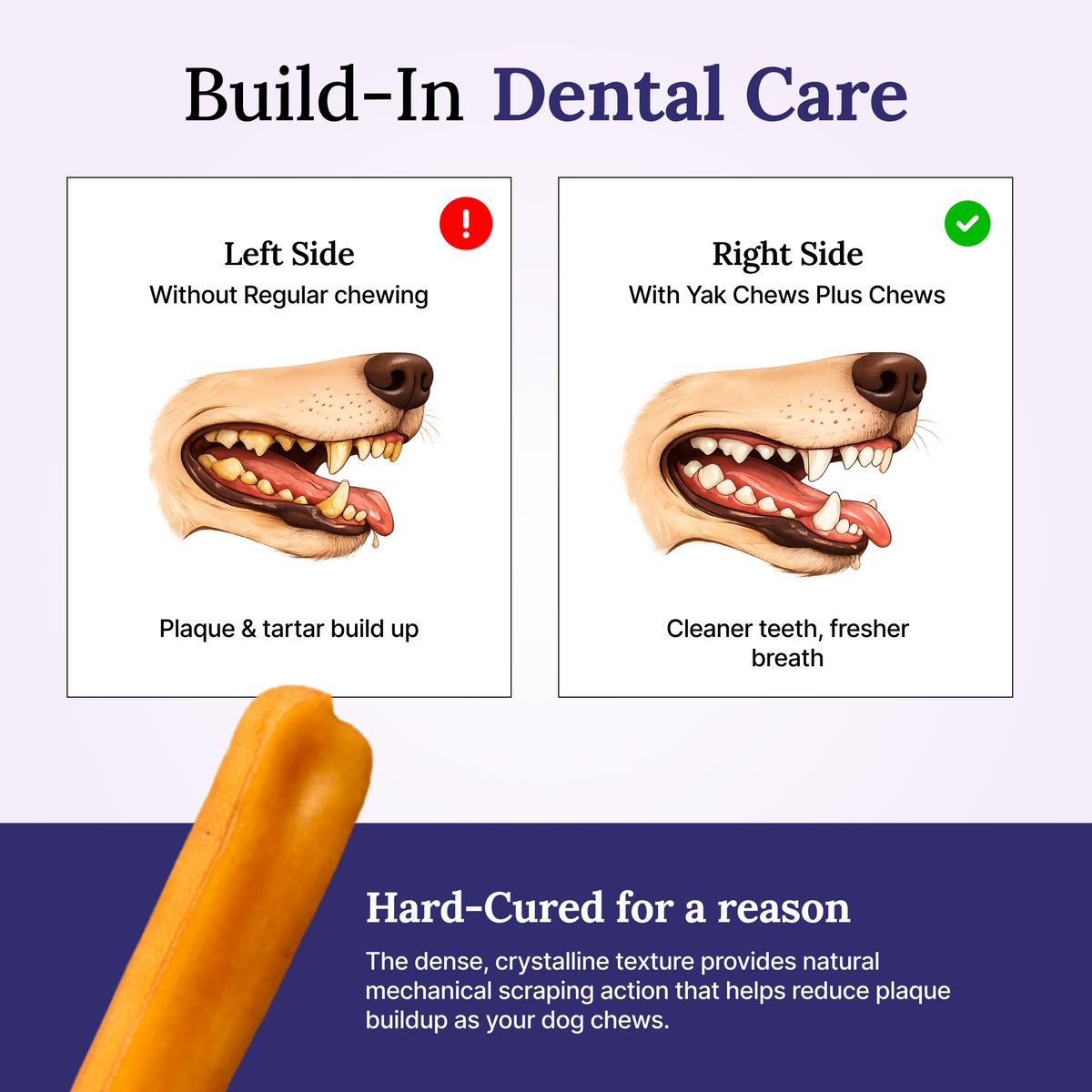 Why Dogs Love Heritage Original