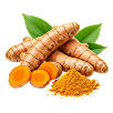 Herbs Infused Dog Chew
