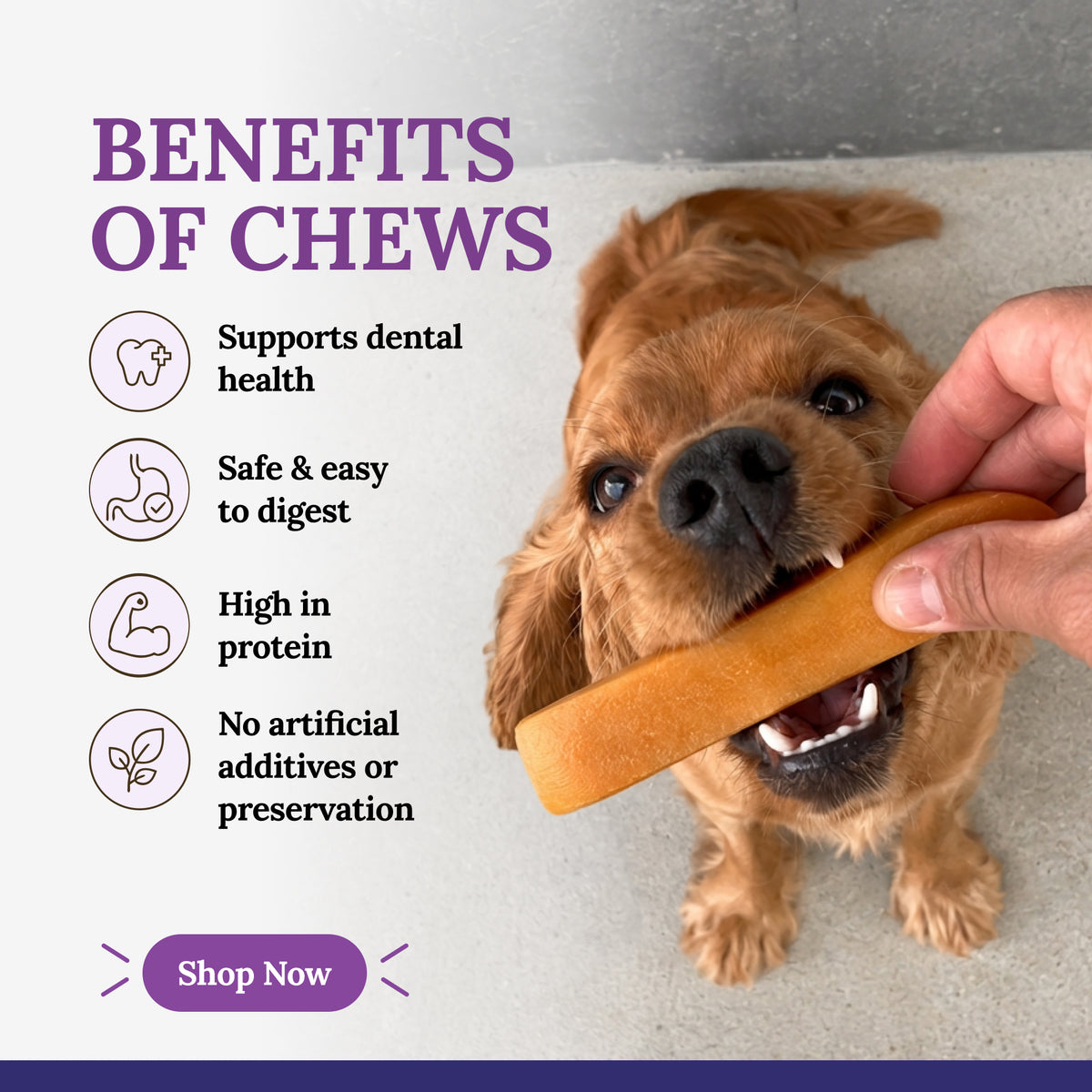 Infused Mix Chew