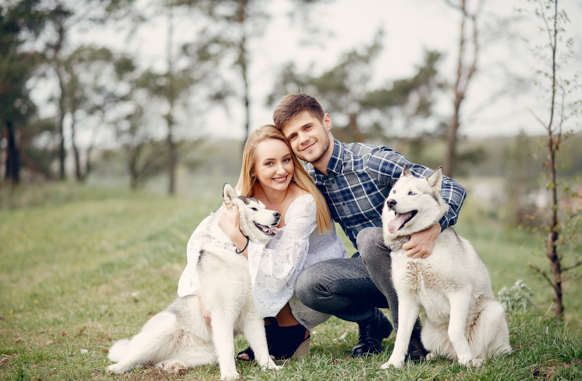 Why Dogs Love Infused Peanut Butter