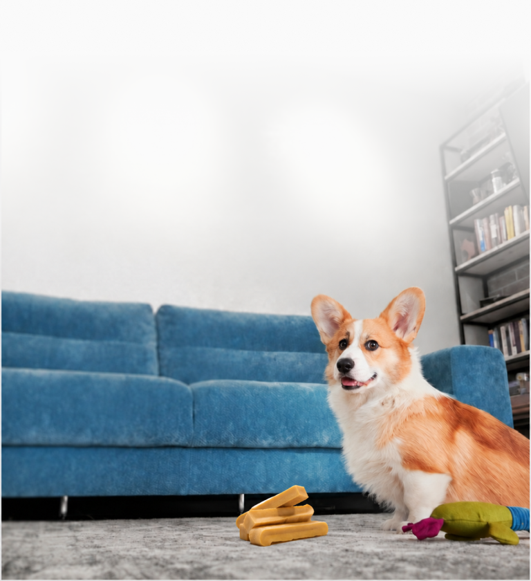 Medium Dogs Chews