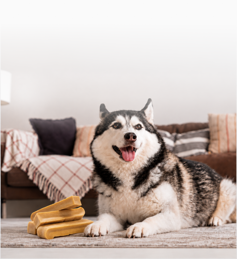 X-Large Dogs Chews